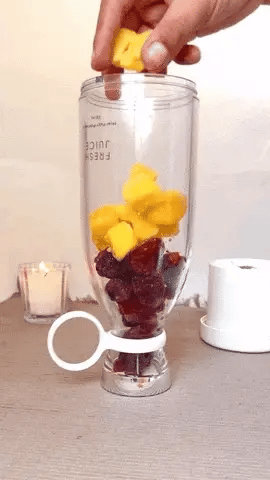 Traverl Portable Mini Juice Blender